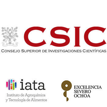 CSIC Spanish National Research Council
